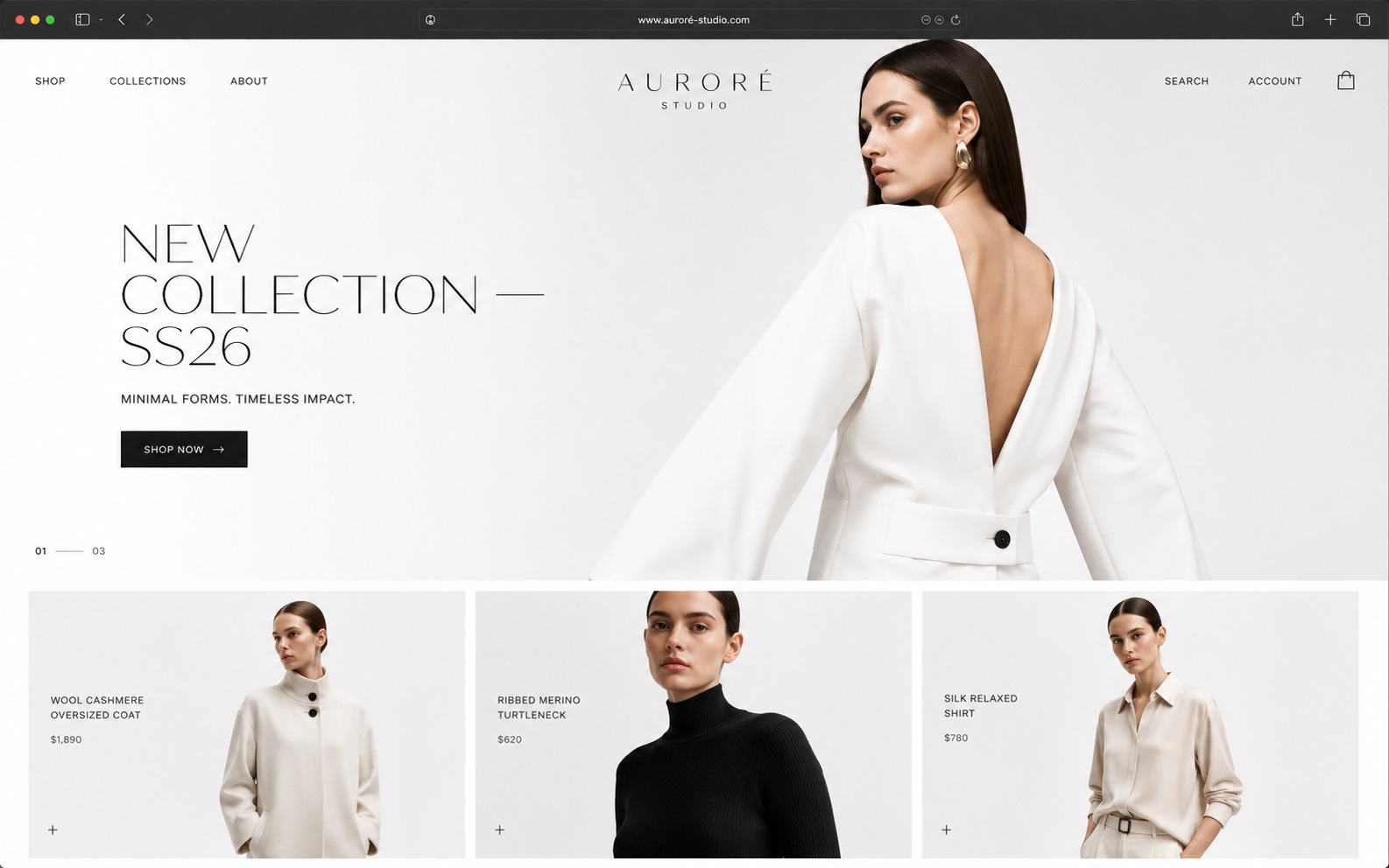 Fashion Website Design